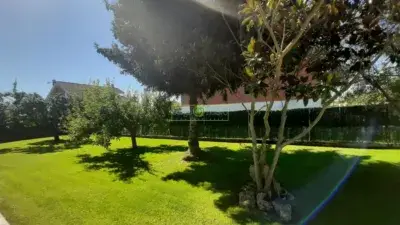 Chalet en venta en Calle de la Solana