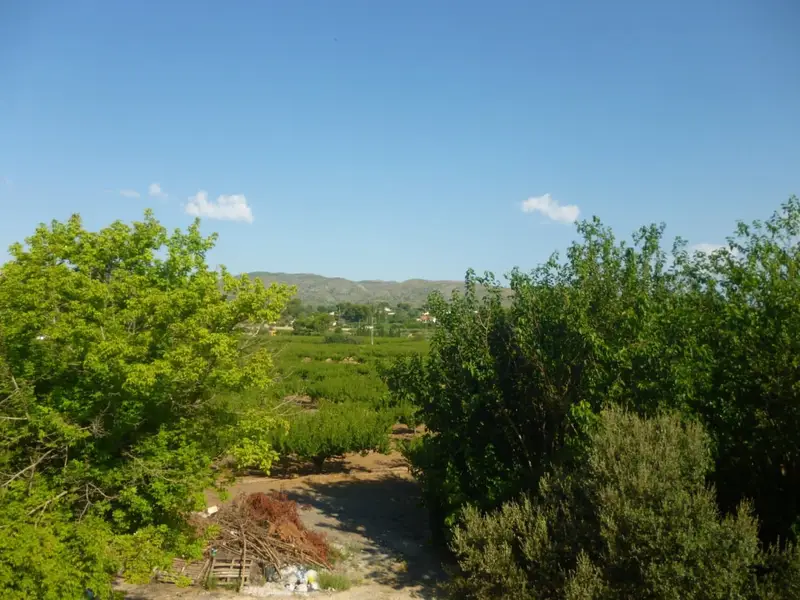 Finca Rustica en Venta Ontinyent Valencia