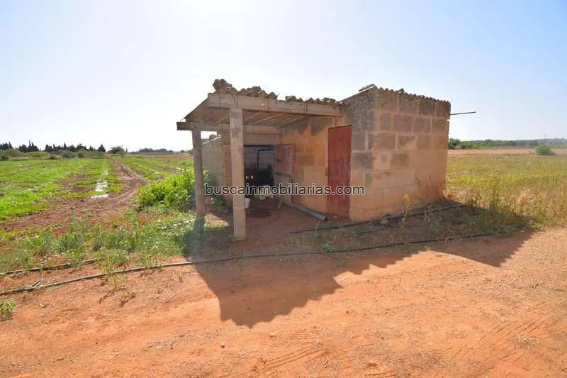Parcela Rustica en Venta en Muro 6452m2