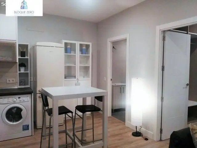 Apartamento 1 Dormitorio Amueblado Calle Prim