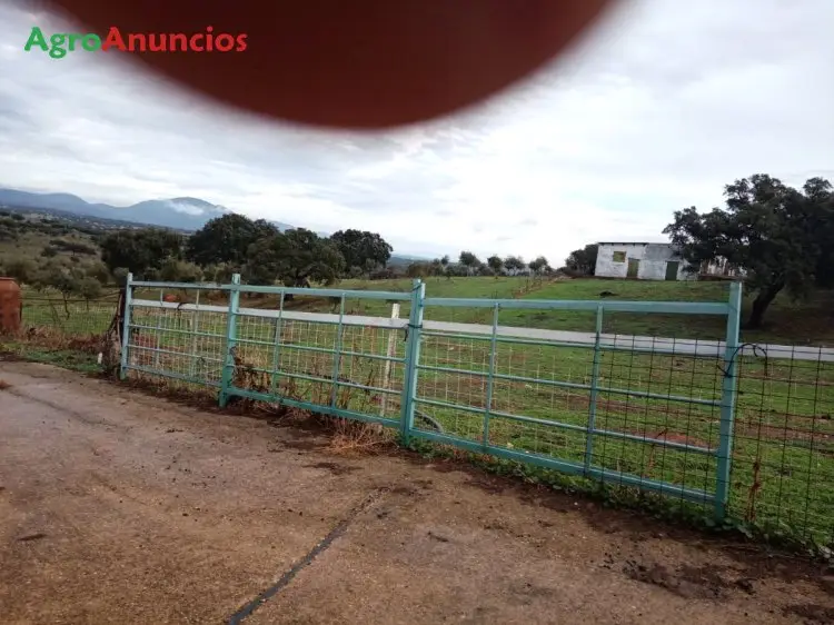 Alquiler  de Finca para pastos y montanera en Cáceres