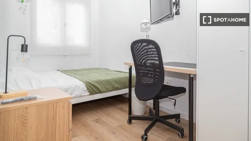 Piso Compartido Estudiantes Zaragoza Campus Centro