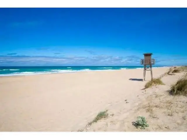 Terreno Rustico en Venta El Palmar de Vejer de la Frontera