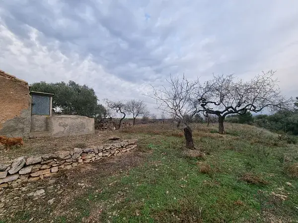 Finca Rustica en El Perello Tarragona 10454m2