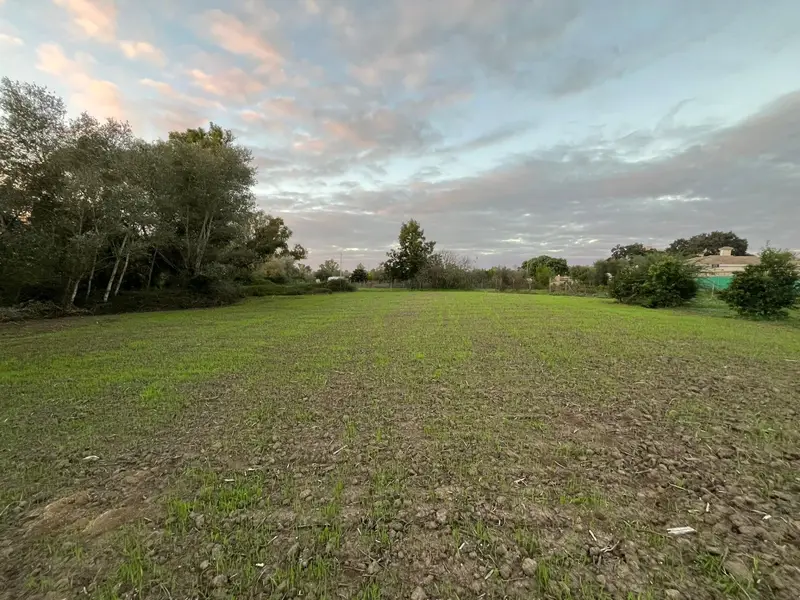 Venta Terreno en Villas Del Este, Este Jerez de la Frontera - Ref: MC7230