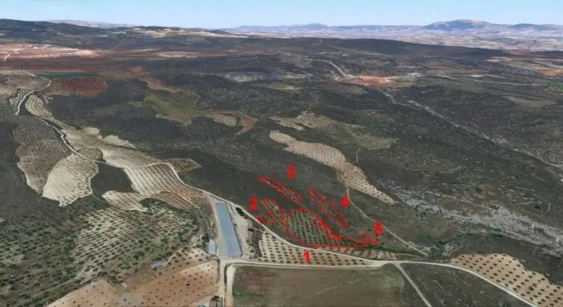 Venta Fincas Padul 8148m2 Almendros Sierra Nevada