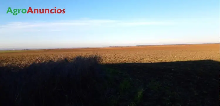 Venta  de Finca de secano en Badajoz