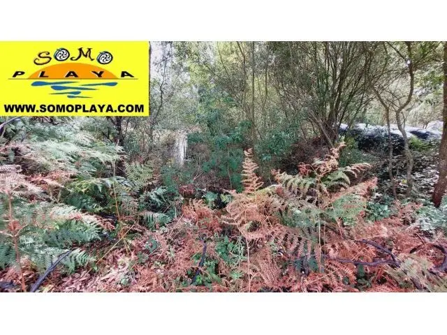 Chalet para reformar en Carriazo Cantabria
