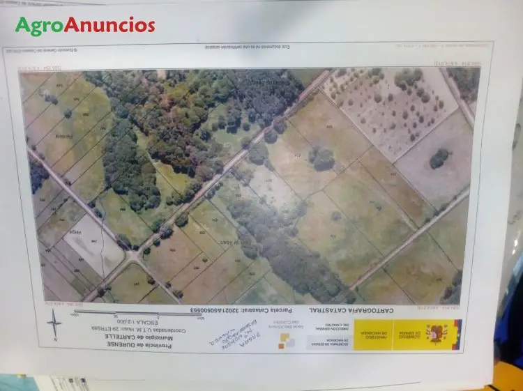 Venta  de Finca forestal en Ourense