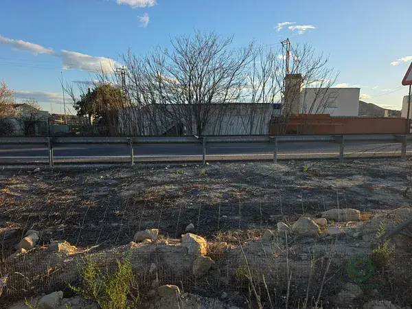 Terreno Agricola 51272m2 Monforte del Cid Alicante