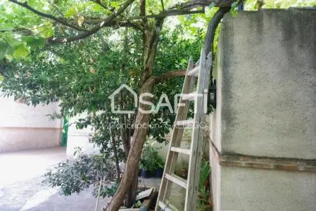 Fantastica Vivienda Planta Baja Campo Criptana