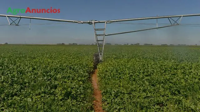 Venta  de Finca de regadio con pantano en Cáceres