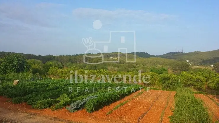 Solar 24464m2 Sant Llorenç de Balafia Ibiza