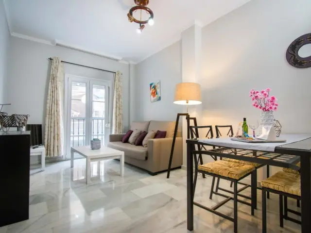 Apartamento 1 Dormitorio Málaga Centro Histórico
