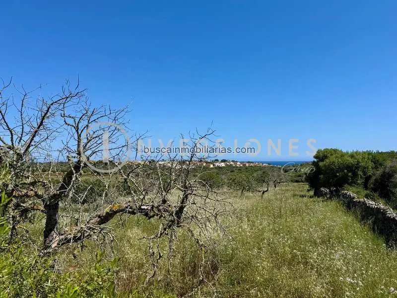 Parcela Rustica con Proyecto Aprobado en Cala Mendia