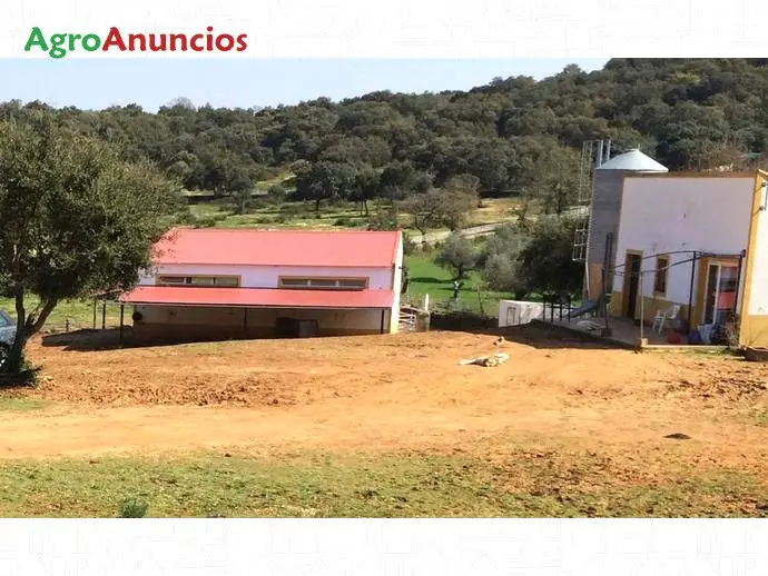 Venta  de Finca de recreo en Badajoz