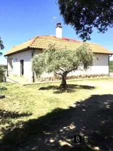 Gran Finca con 3 Viviendas Valle del Jerte La Vera