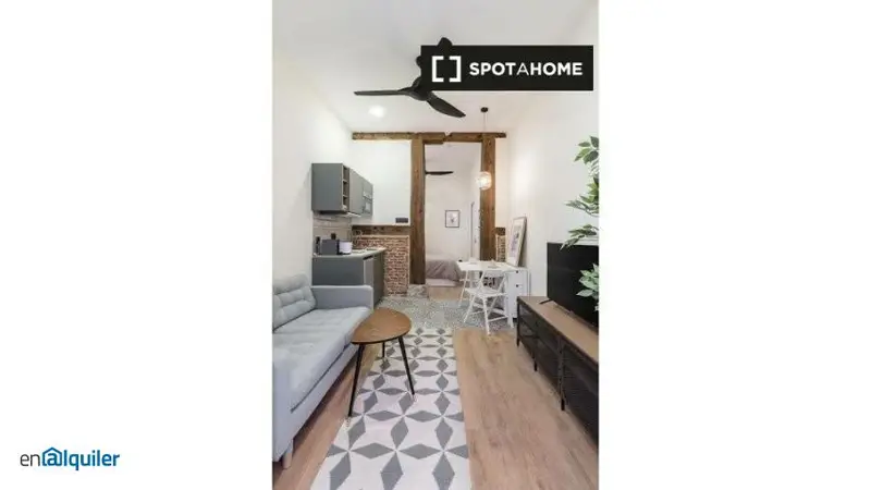 Apartamento Amueblado 1 Dormitorio Madrid
