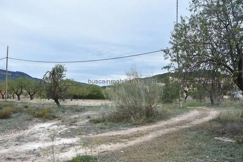 Parcela Rustica en Venta Valderrobres 1425m2