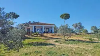 Finca con 2 Casas en La Palma del Condado