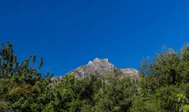 Terreno en Venta Nagüeles Marbella Vistas al Mar y Montaña