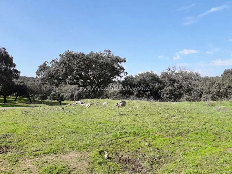 Parcela Rustica en Venta Fuente Obejuna Ideal Ganaderia Recreo