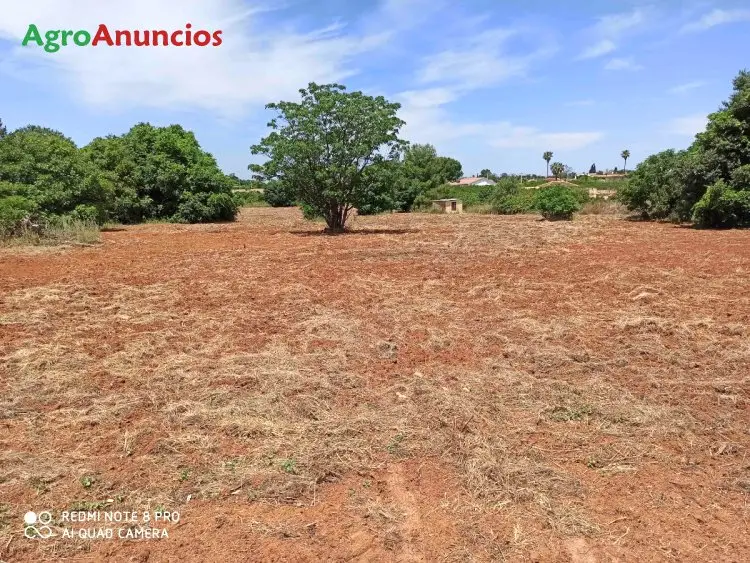 Venta  de Finca rústica regadío con pozo y electricidad en Sevilla