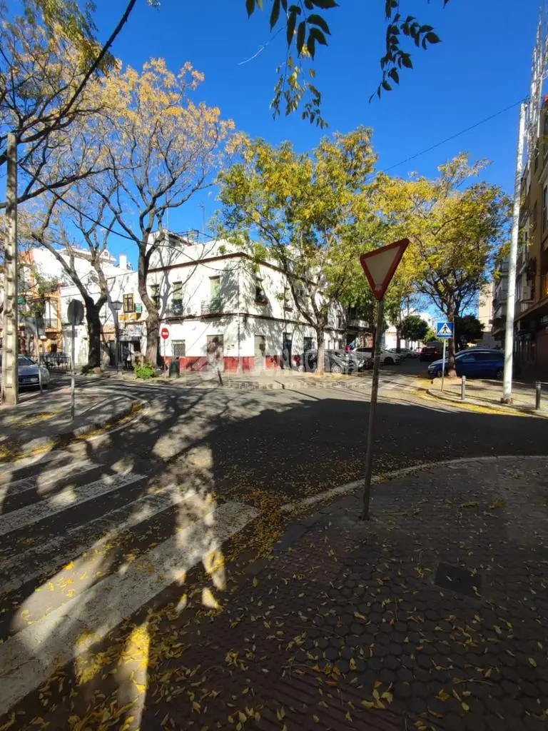 Local Comercial en Cerro Amate - Reformado con Patio