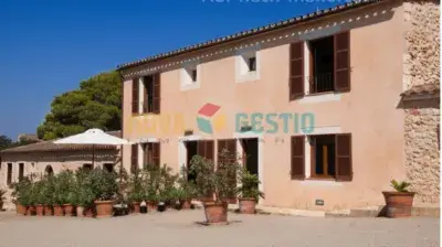 Casa Rustica en Alquiler Mallorca 2 Dormitorios Piscina Comunitaria