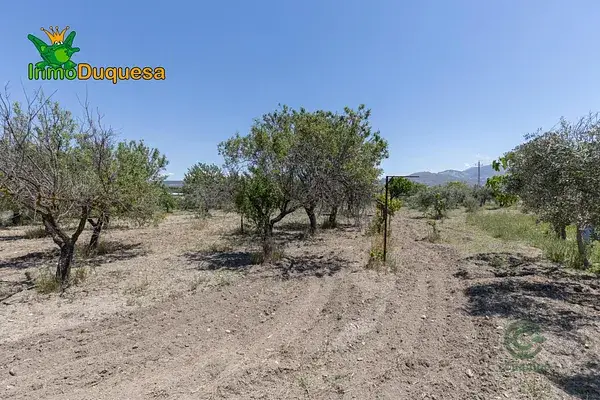 Finca Rustica Granada 03ha Arboles Frutales