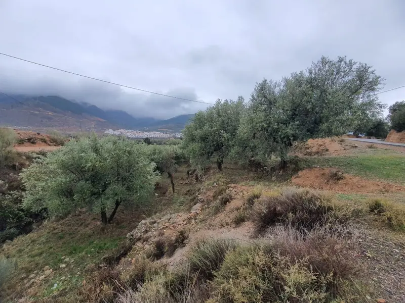 Venta Finca Benecid Fondon Almacén Agricola Ref 23311