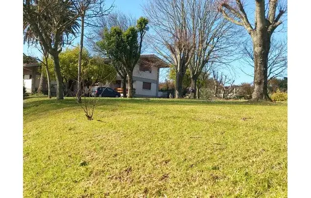 Habitacion 660m2 Getxo Amueblada Mascotas Admitidas