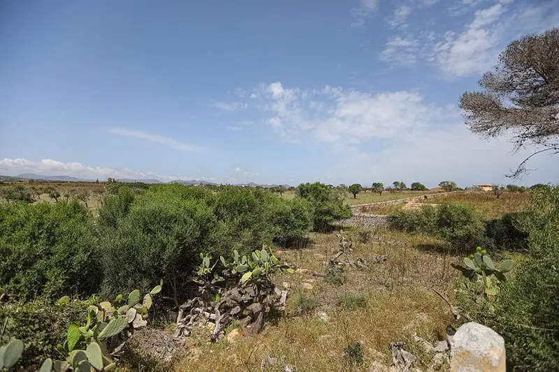 Finca Rustica en Venta Manacor Mallorca