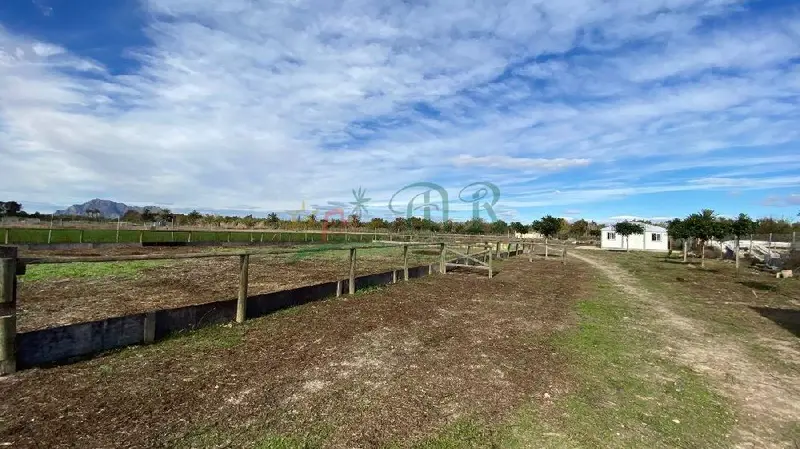 Venta Finca Rustica 1 Dormitorio Almoradi