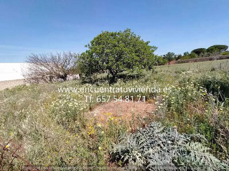 Venta Terreno Marquesado Chiclana de la Frontera