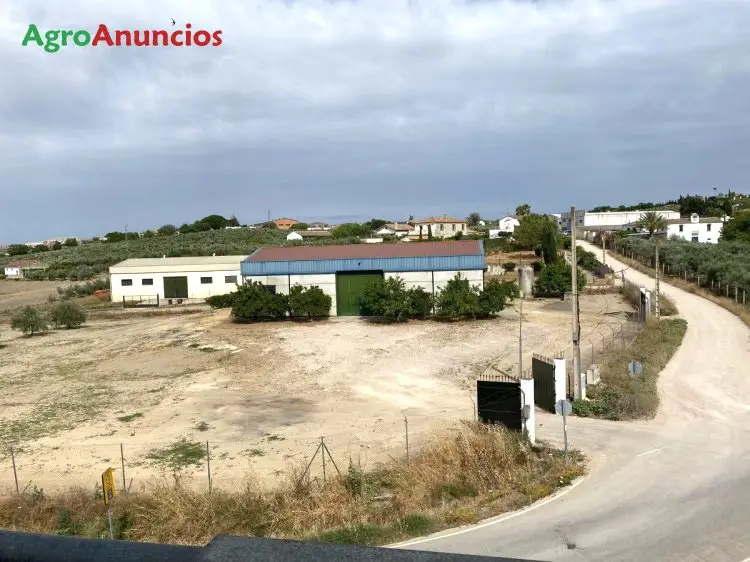 Alquiler  de Nave industrial en Córdoba