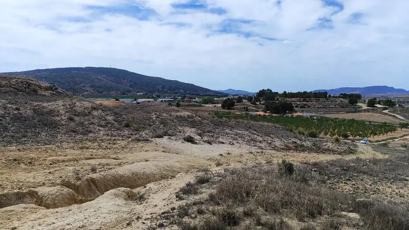 Terreno en Venta Pinoso Alicante 18889m2