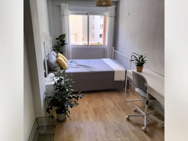 Habitacion Alquiler Alicante Reformada Amueblada Wifi