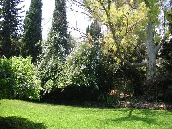 Finca Rustica en Churriana Malaga con gran potencial Inversor