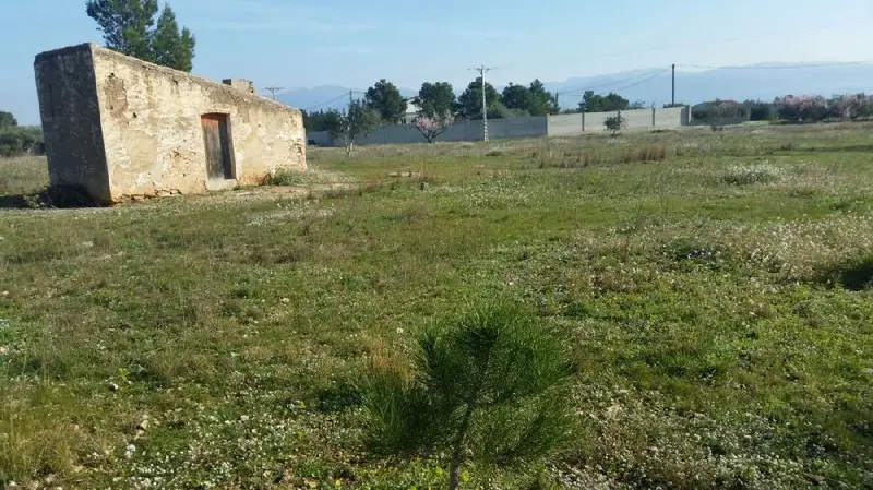 Venta Finca Rustica Roquetes