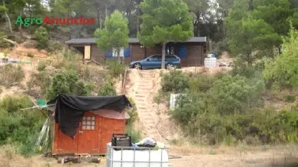 Venta  de Finca con casa de madera y almendros en Tarragona