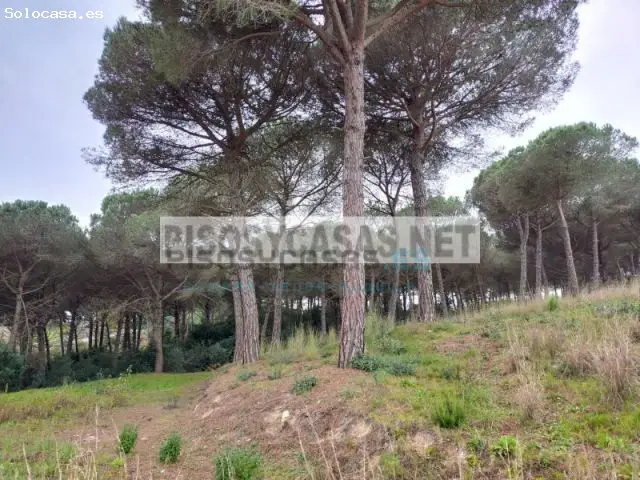 Terreno en Venta Tordera Costa Brava 13000m2