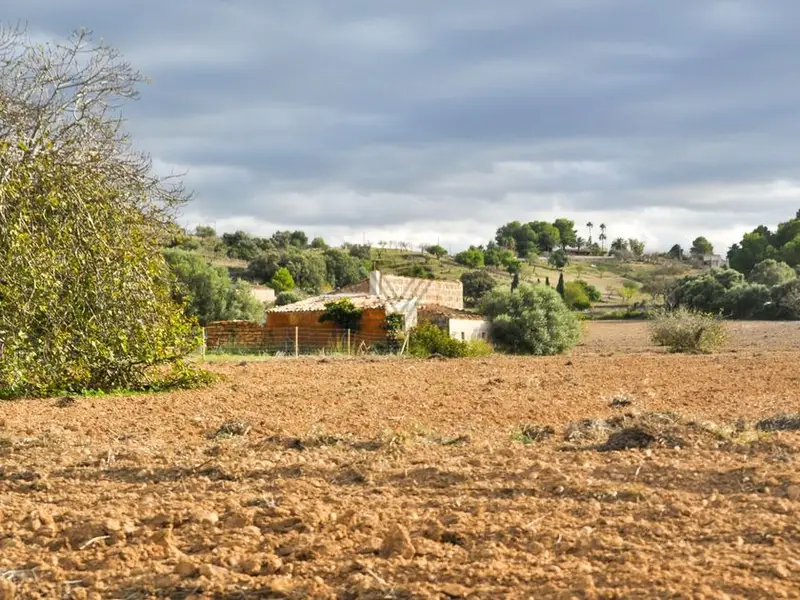 Terreno Edificable Santa Margalida 20340m2 Vistas Serra Tramuntana