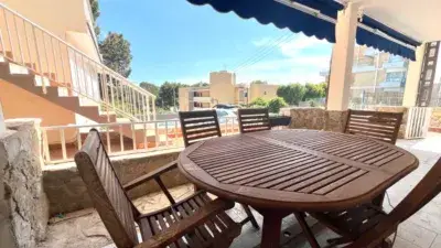 Apartamento en alquiler en Palmanova-Son Caliu