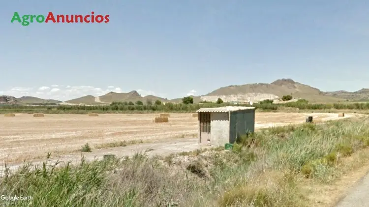 Venta  de Finca agrícola con caseta riego en Albacete