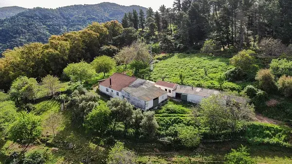Finca con Vistas Espectaculares en Gaucin