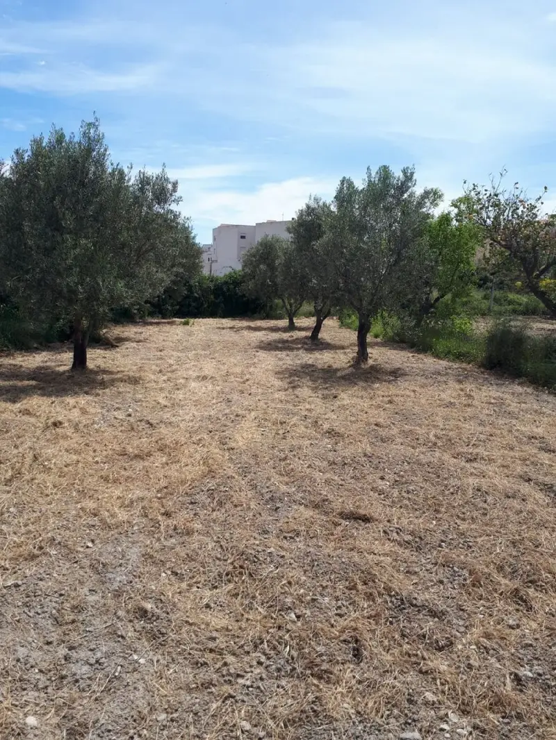 Venta Cortijo con Chimenea en Tijola - Ref 06184