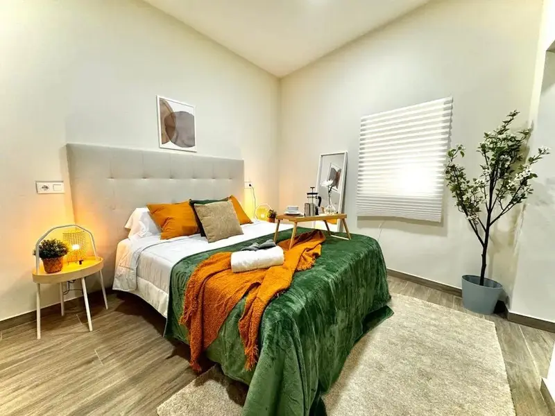 Casa en Alquiler Madrid Tirso de Molina 1 Dormitorio