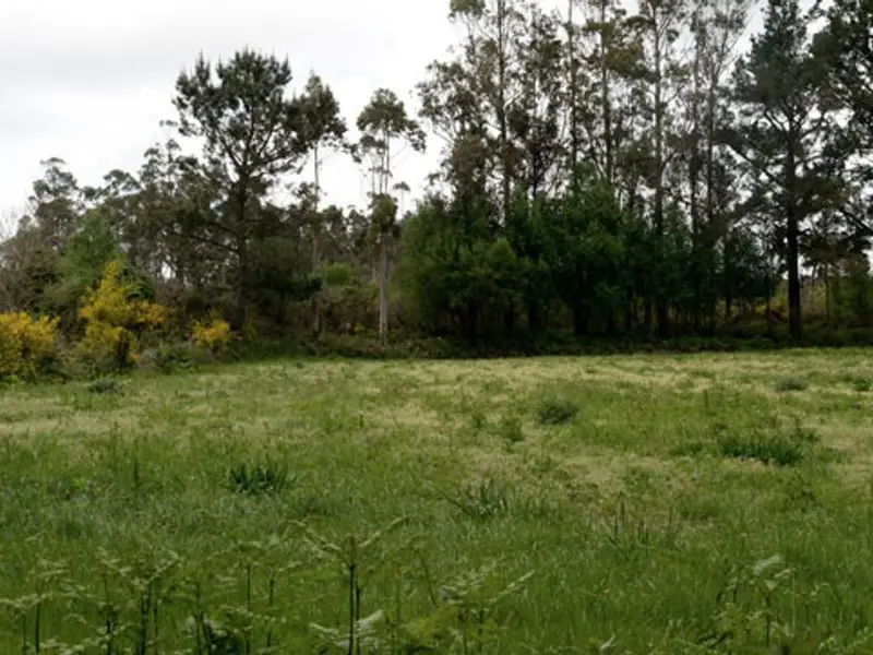 Terreno en Venta Pontevedra Centro Cerca Supermercados