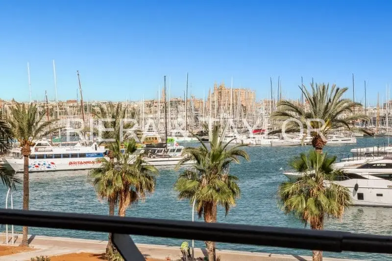 Apartamento Lujo Paseo Maritimo Palma Mallorca